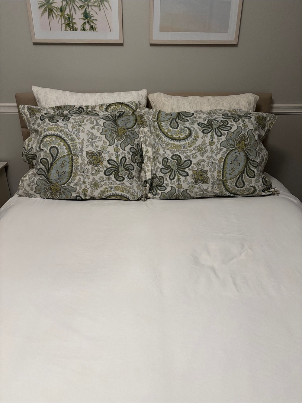 Pottery Barn Charlie Paisley Euro Shams in Sage and Cream-pair